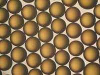 AmberLite IRN97 H开云Kaiyun强酸阳离子交换树脂技术参数 应用范围 纯度介绍